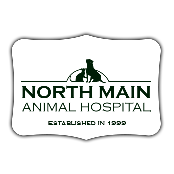 North main hot sale animal clinic